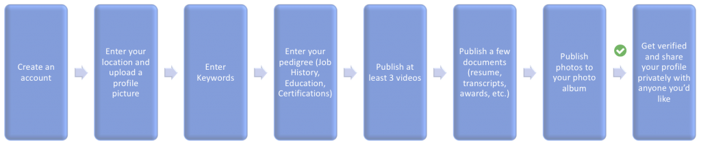 verification-process